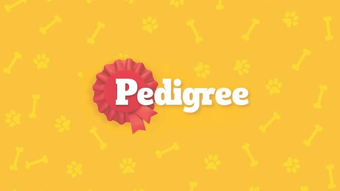 8x New Customers: AI Predicts Pet Parents